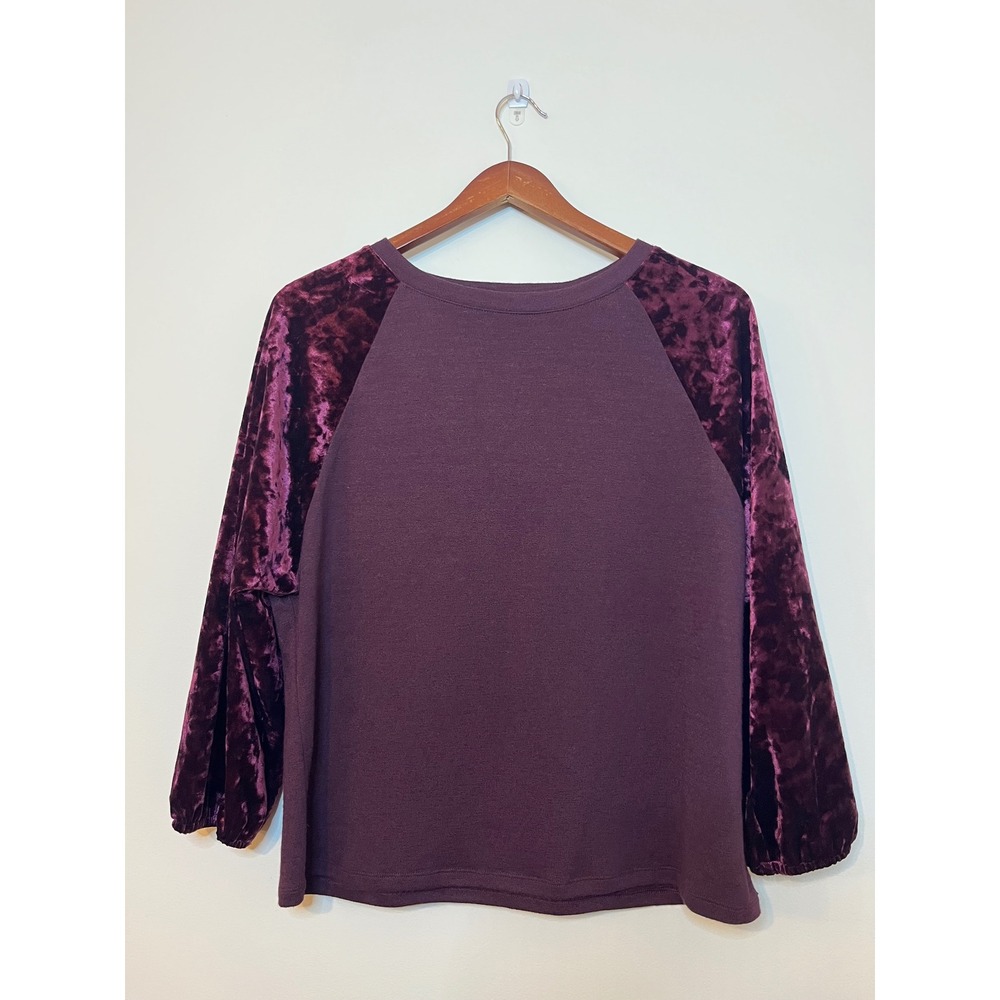 Gap Softspun Velvet Raglan Sleeve Top Sleeve Women's XS Luxe Cozy Festive